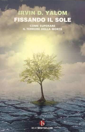 Copertina Fissando il sole